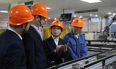 國網(wǎng)浙江電力黃金娟獲國家科技進步獎二等獎