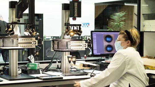 陶朗食品首次揭秘新型科研果園