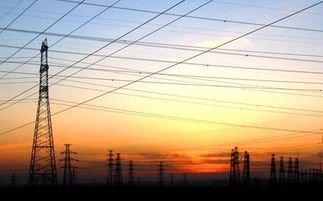 中國(guó)電氣行業(yè)十大營(yíng)收收入最高企業(yè)是哪些